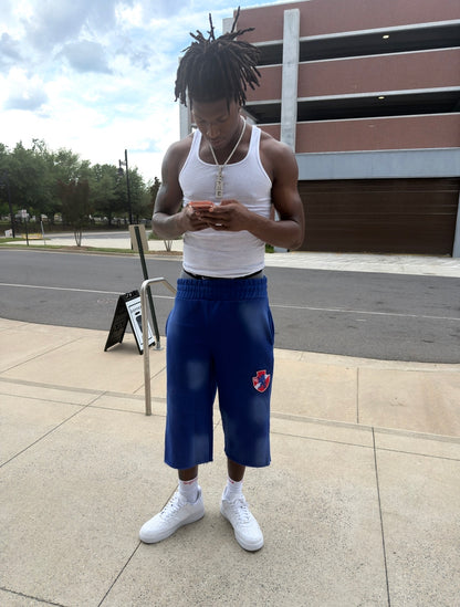 Blue Razz sweatshorts